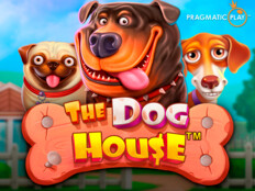 Red dog casino no deposit bonus codes 202396